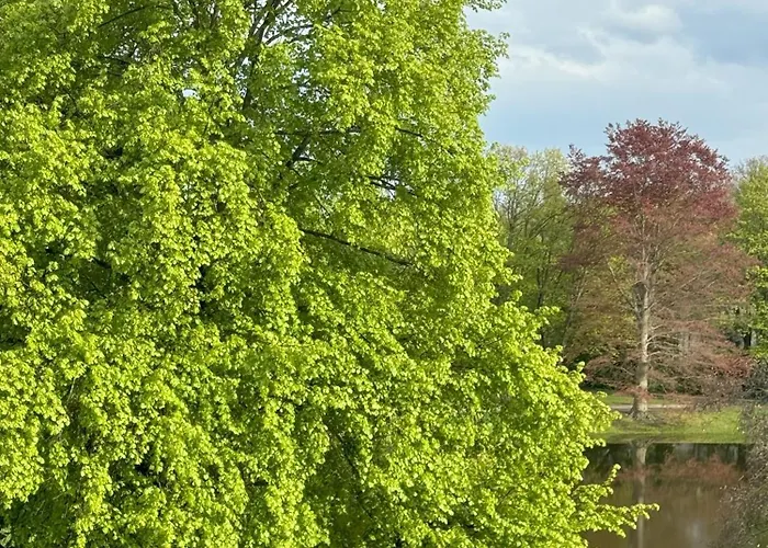 شقة Stilvolles Ruhiges